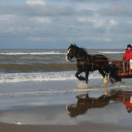 에크몬드안지 Centraal Aan Zee 아파트 외부 사진